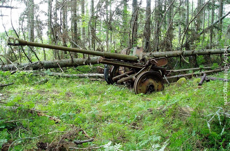 Bolshoy Tyuters island WW2 finds artillery wehrmacht relics german nazi world war two