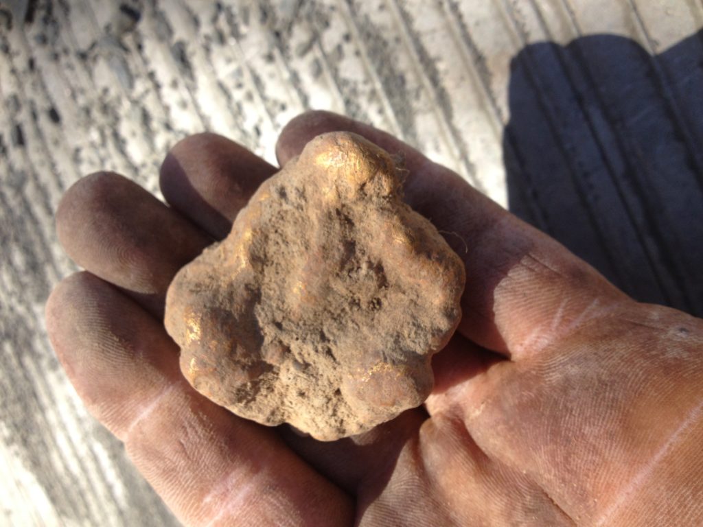 huge gold nugget detected Minelab GPZ 7000