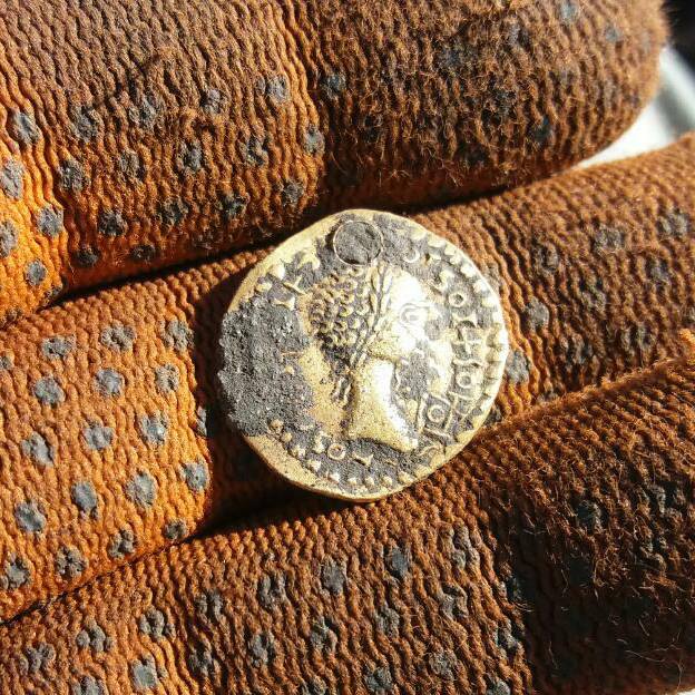 Roman gold coin find with Minelab X-Terra 705 and Nel Tornado