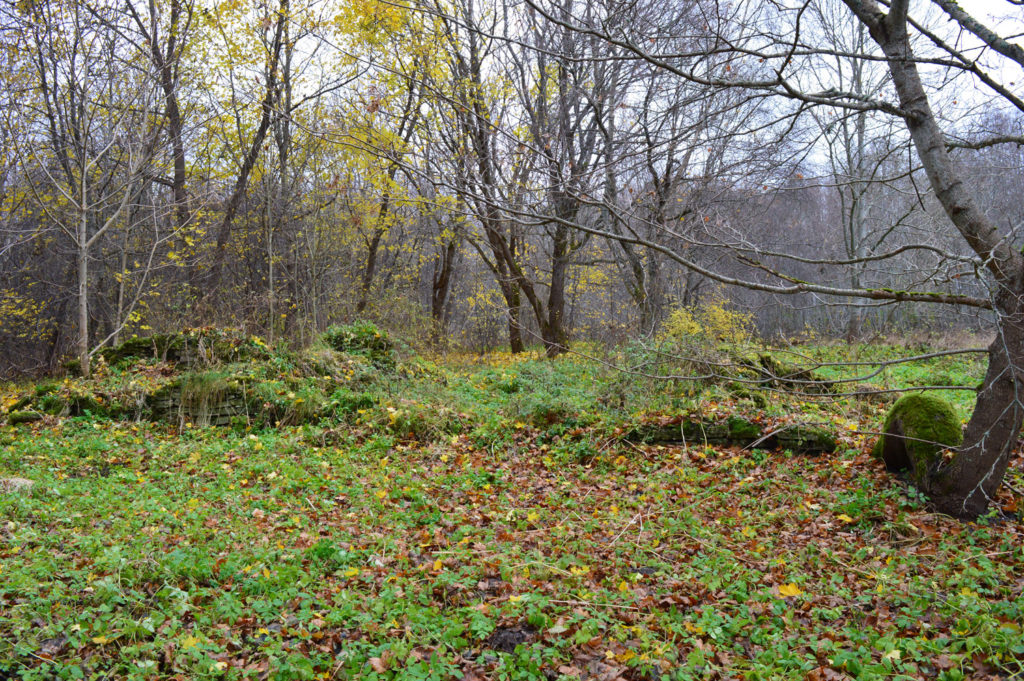 Old farm's remains